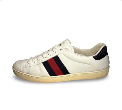 Gucci ace sneakers