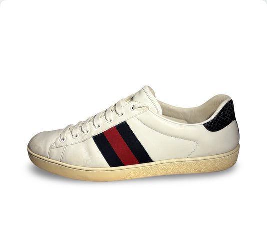 Gucci ace sneakers