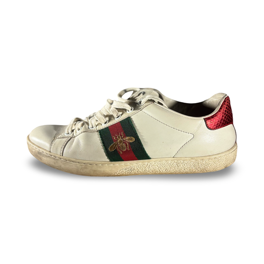 Gucci Ace Sneakers